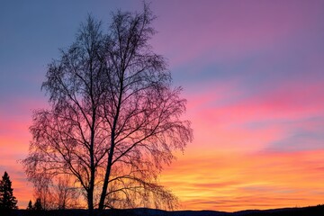Fototapeta premium Vibrant sunset casts colorful hues behind silhouette of a tree in a serene landscape