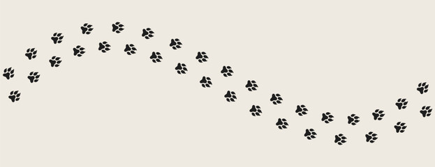 Coyote paw prints vector. Jackal paw prints