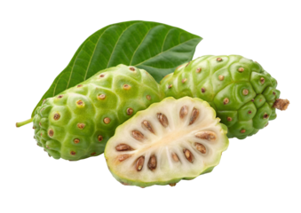 Fresh green noni fruit with sliced piece and leaf for tropical health benefits and herbal remedies