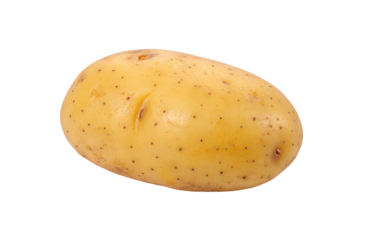 Fresh yellow potato isolated on white background for healthy food and nutrition image use
