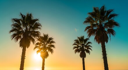 Palm trees silhouetted against a colorful sunset sky, evoke a sense of serenity and tropical beauty.The setting sun casts a warm glow through the leaves