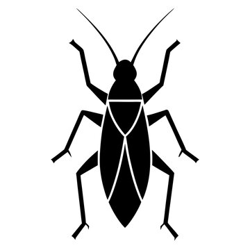 Black katydid silhouette insect icon
