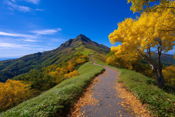 Obraz premium Pathway To Mountain Peak With Yellow Tree In Autumn Season Under Blue Sky In Japan