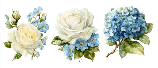 Watercolor flowers art features white roses and blue hydrangeas, showcasing a delicate, floral arrangement for wedding designs, invitations, and feminine branding.