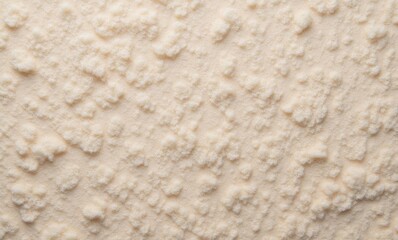 Close-up of textured white substance resembling fine sand or powdered sugar.