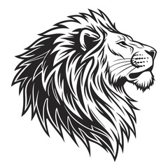 lion vector illustration