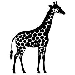 Naklejka premium giraffe isolated on white background