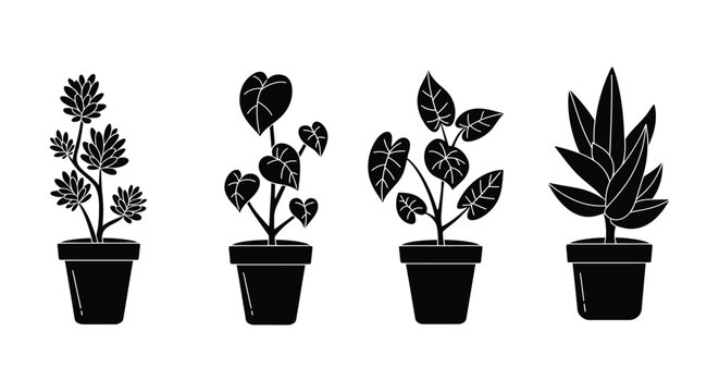 Black and White Silhouette Illustration of Four Potted Houseplants in a Row