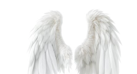 White Angel Wings Pure, Elegant Feather Image for Design Projects