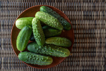 Freshly harvested cucumbers displayed in a rustic bowl, capturing the essence of a vibrant organic garden in summer