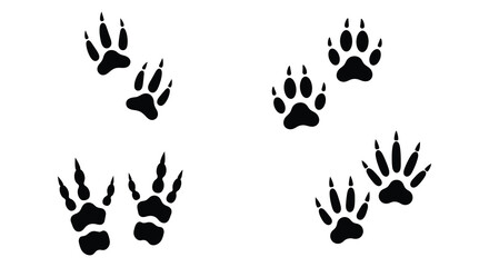 Animal Tracks Silhouettes Raccoon Squirrel and Opossum Footprints on White Background © Lhvect02
