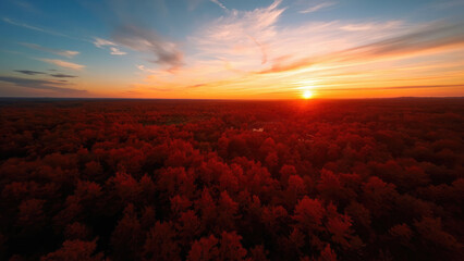 Aerial view of a vibrant red forest under a sunset sky with orange and blue hues and the sun setting on the horizon