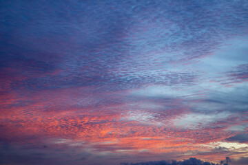 Fototapeta premium 奄美大島の夏の風景。空。雲。