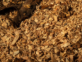 A Close-up View of Wood Shavings and Bark