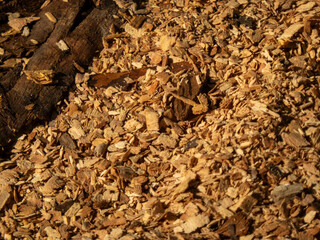 A Close-up View of Wood Shavings and Bark