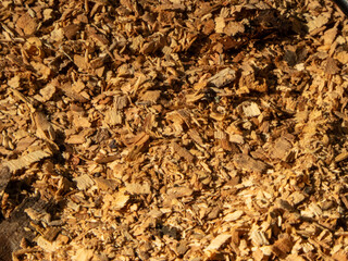 A Close-up View of Wood Shavings and Bark
