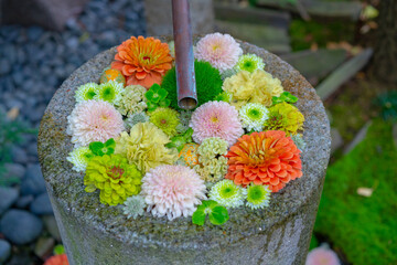 花手水と和の心