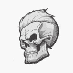 vector illustration of skull 