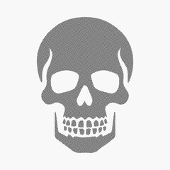 human skull vector illustration