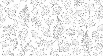 Fototapeta premium Detailed monochrome illustration of various autumn leaves scattered on a white background, perfect for seasonal design and backgrounds.
