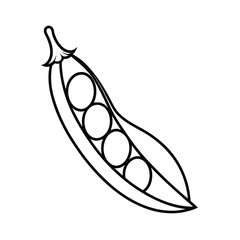 a black and white drawing of a pea pods icon on white background 