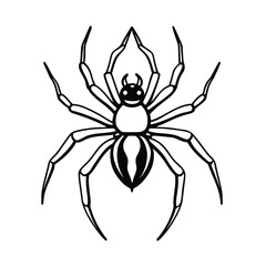 a black and white drawing of a spider coloring page