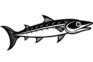 Barracuda detailed in full body is beautifully outlined with white space around it