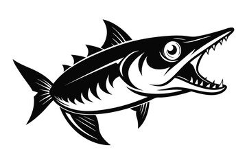 Fototapeta premium Black Barracuda with sharp teeth and open mouth in side view is fearsome