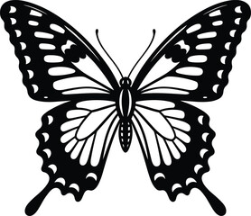 butterfly silhouette with intricate wing patterns, a beautiful black and white vector illustration, nature and elegance design element.