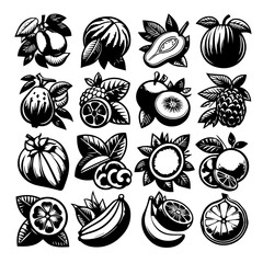 Collection of sixteen different kinds of fruits with leaves in black and white vector illustration
