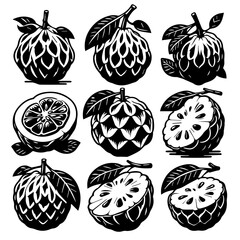 Illustration of six stylized berries and a citrus slice with leaves in black and white color scheme