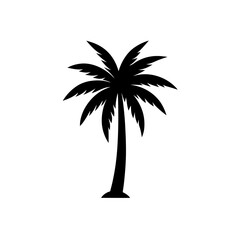 Obraz premium Silhouette palm tree on transparent background