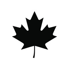Fototapeta premium Black silhouette of a maple leaf