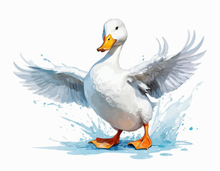 Beautiful Colorful Duck with white background vector