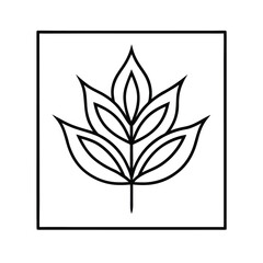 botanical design in frame line art on white background 