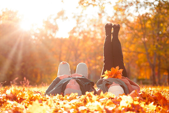 senior couple outdoors in sunny autumn park - Powered by Adobe