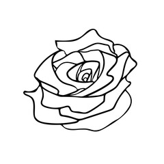 An elegant and simple black and white vector line art illustration of a rose. Doodle style with a clean and classic vibe, it is ideal for logos, invitations, or decorative design elements.