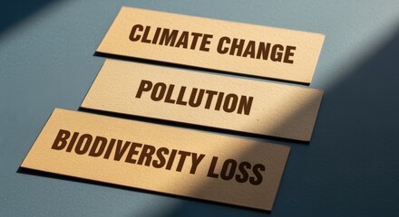 Environmental Issues: Climate Change, Pollution, and Biodiversity Loss Concepts Represented on Wooden Blocks, Showing Earth's Problems