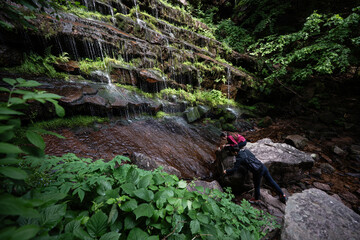 Hikers drinking fresh water from waterfall in lush forest