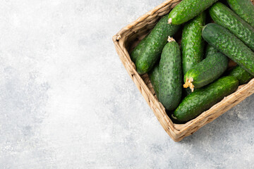 Cucumber on wooden background. Slice of cucumber on background. Fresh organic green cucumbers gherkin. Vegan. Salad ingredient. Farm vegetables. Cut vegetables with knife. Space for text. Copy space