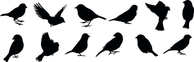 Set of 12 Bird Silhouettes, Flying and , Graphic Design ProjectsSet of 12 Bird Silhouettes, Flying and Perched Poses, Black Vector Icons for Nature, Wildlife, Illustration, Graphic Design Projects