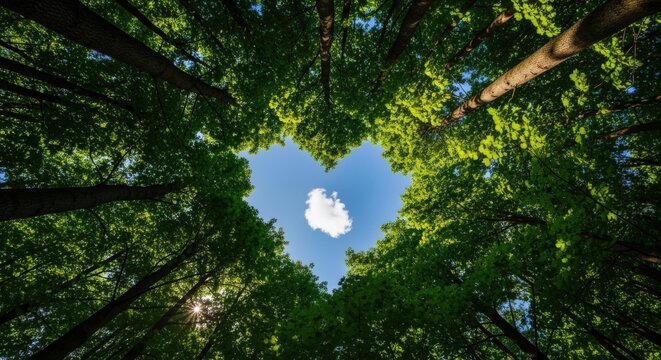 Heart-Shaped Forest Canopy with Sky View, Symbolizing Love for Nature and Environmental Awareness - Powered by Adobe