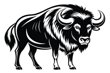 Powerful ox illustration shows its majestic horns and thick fur in bold format