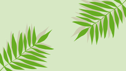 Palm leaf  and frame on a green background. Botanic tropical wallpaper with palm leaves. 