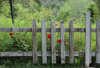 Naklejka premium protective wooden fence for garden