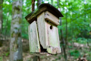 wooden bird house, ruin, old house in need of renovation