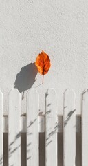 Orange leaf on white fence, shadows