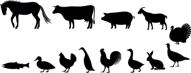 Farm animals silhouette. Isolated farm animals on white background