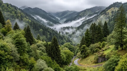 Fototapeta premium Misty Mountain Valley With Winding Road And Lush Green Forest