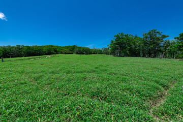 大台ヶ原牛石ヶ原